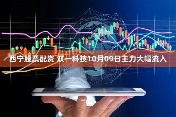 西宁股票配资 双一科技10月09日主力大幅流入